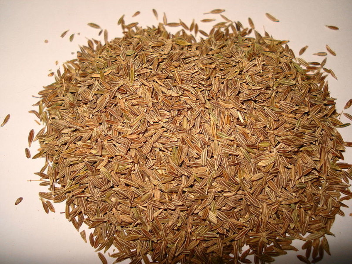 Health Benefits of Cumin Seeds or Jeera