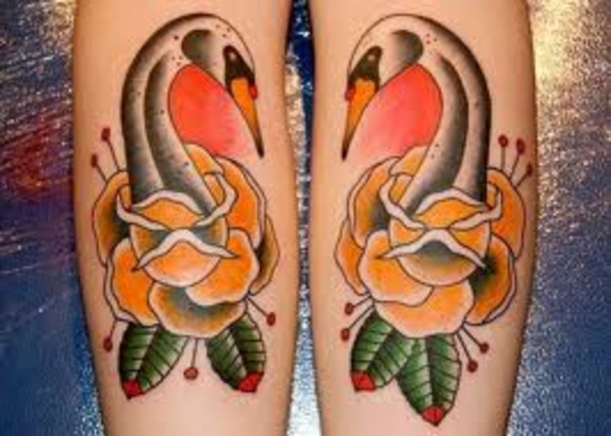 white-and-black-swan-tattoos-and-history-swan-tattoo-meanings
