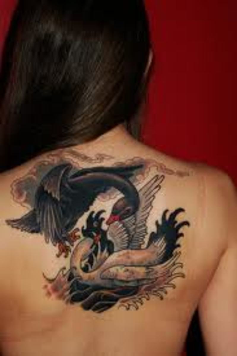 White And Black Swan Tattoos And History-Swan Tattoo Meanings-Swan Tattoo  Designs And Ideas - HubPages