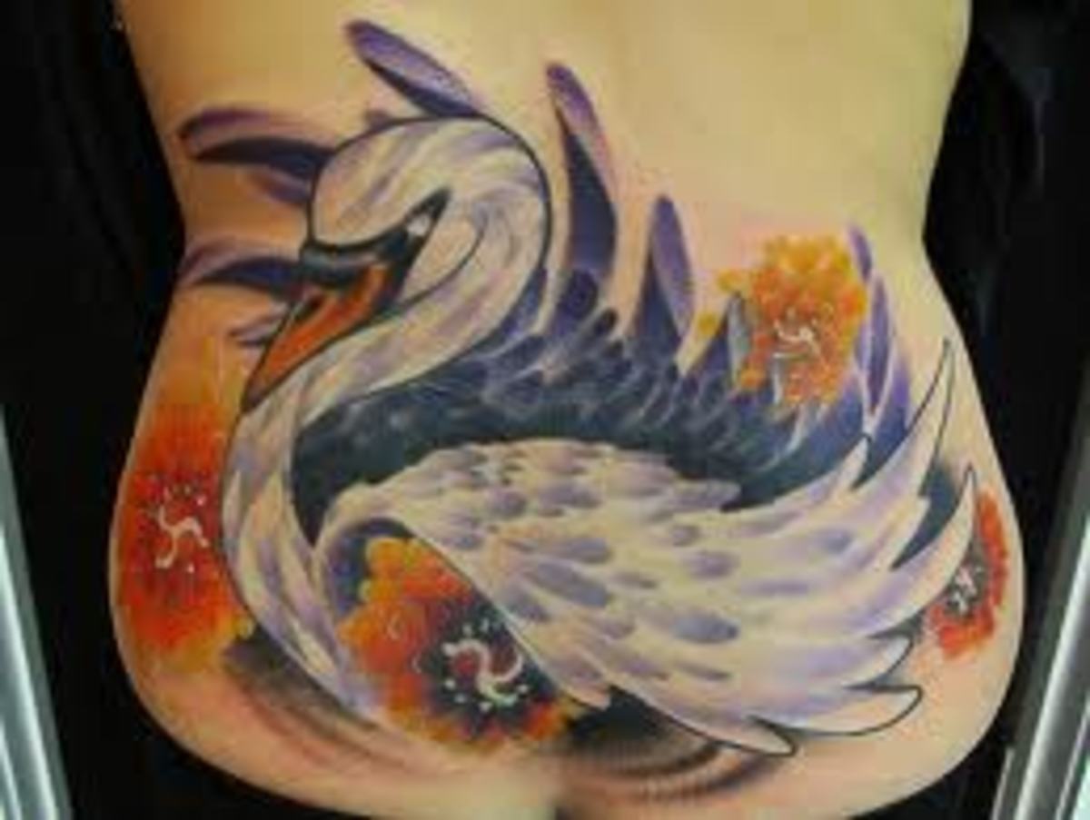 white-and-black-swan-tattoos-and-history-swan-tattoo-meanings