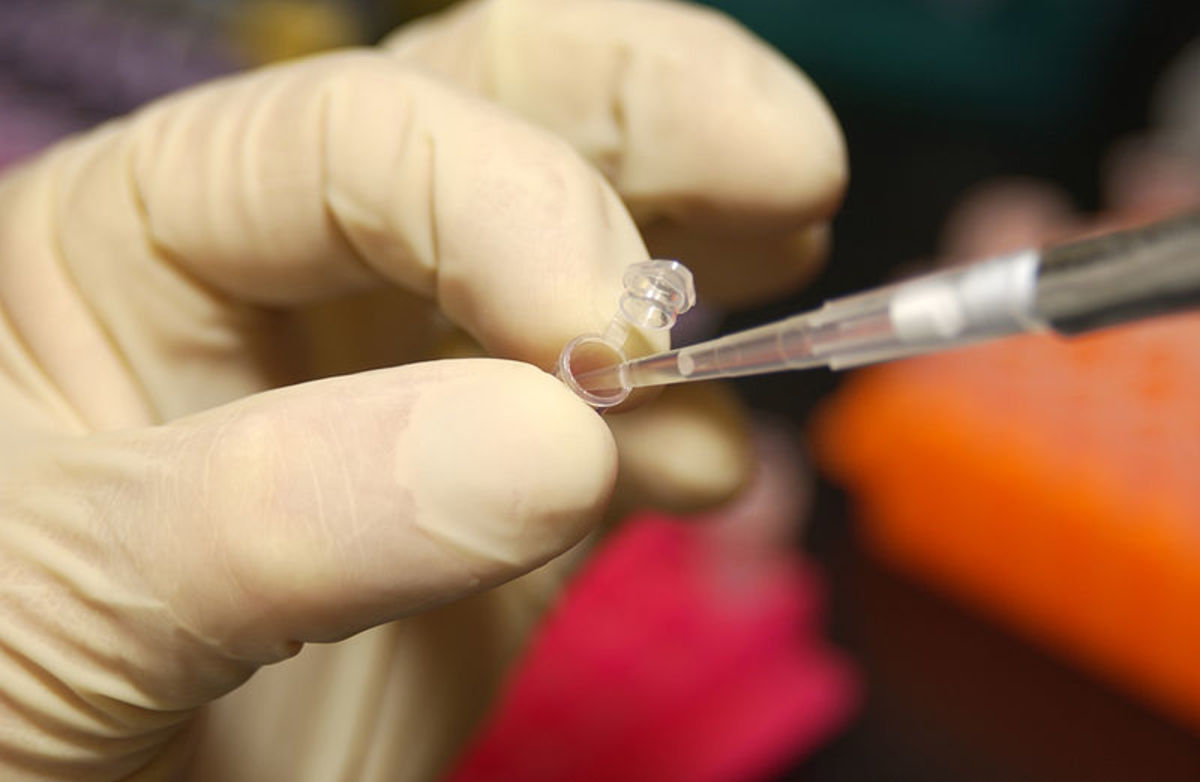 An NHGRI scientist uses a pipette to extract DNA from a test tube.
