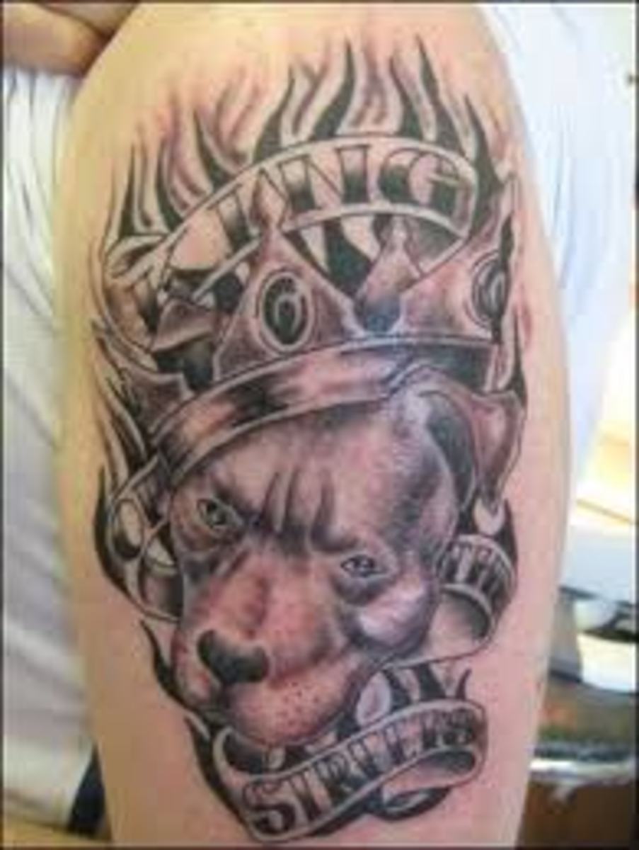 Pit Bull Tattoos And Meanings; Pit Bull Tattoo Designs And Ideas; Pit Bull  Reputation And History - HubPages