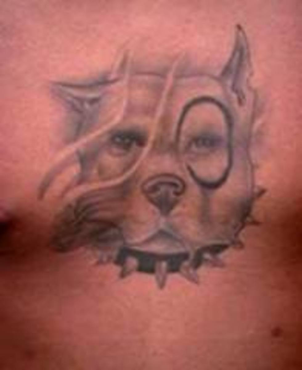 Tattoo pitbull angry