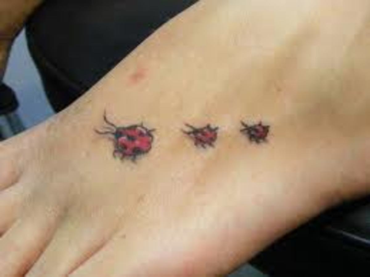ladybug-tattoos-and-meanings-ladybug-tattoo-designs-and-ideas