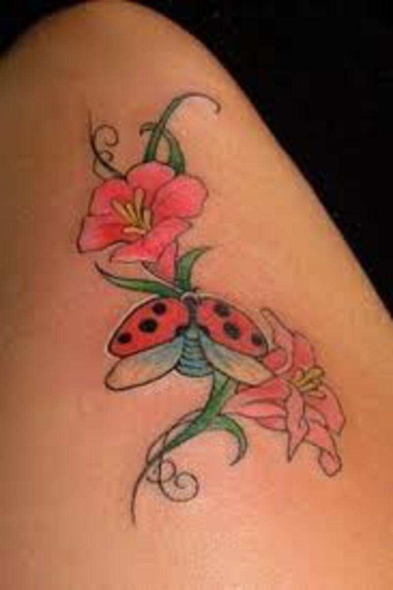 Minimalist Ladybug Temporary Tattoo (Set of 3) – Small Tattoos