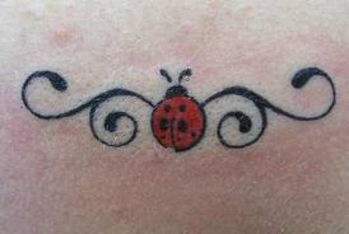 Ladybug tattoo idea from instagram  Subtle tattoos Lady bug tattoo Bug  tattoo