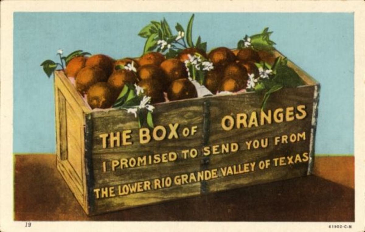 A box of oranges (or a jokey vintage post card of one!) - public domain courtesy of  the University of Houston Libraries