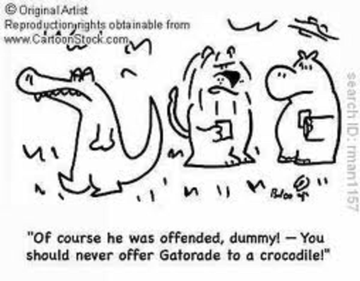 differences-between-alligators-and-crocodiles
