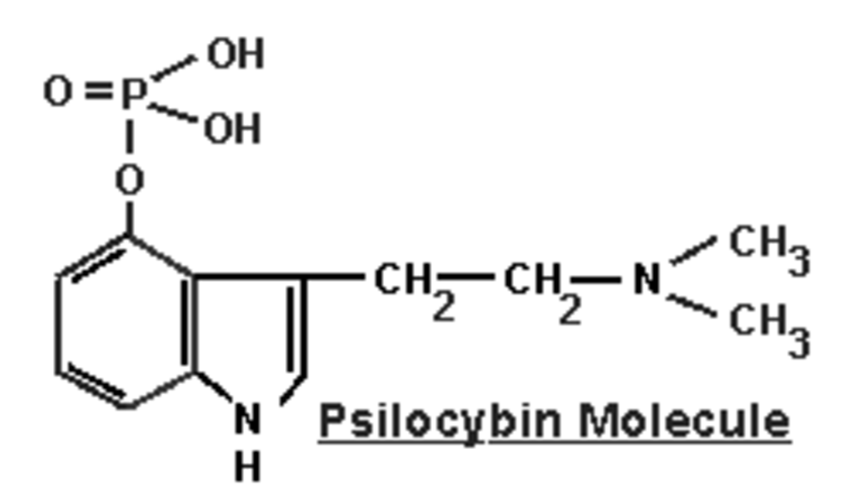 Unusual Places in Pennsylvania The Largest Mushroom Grower In the