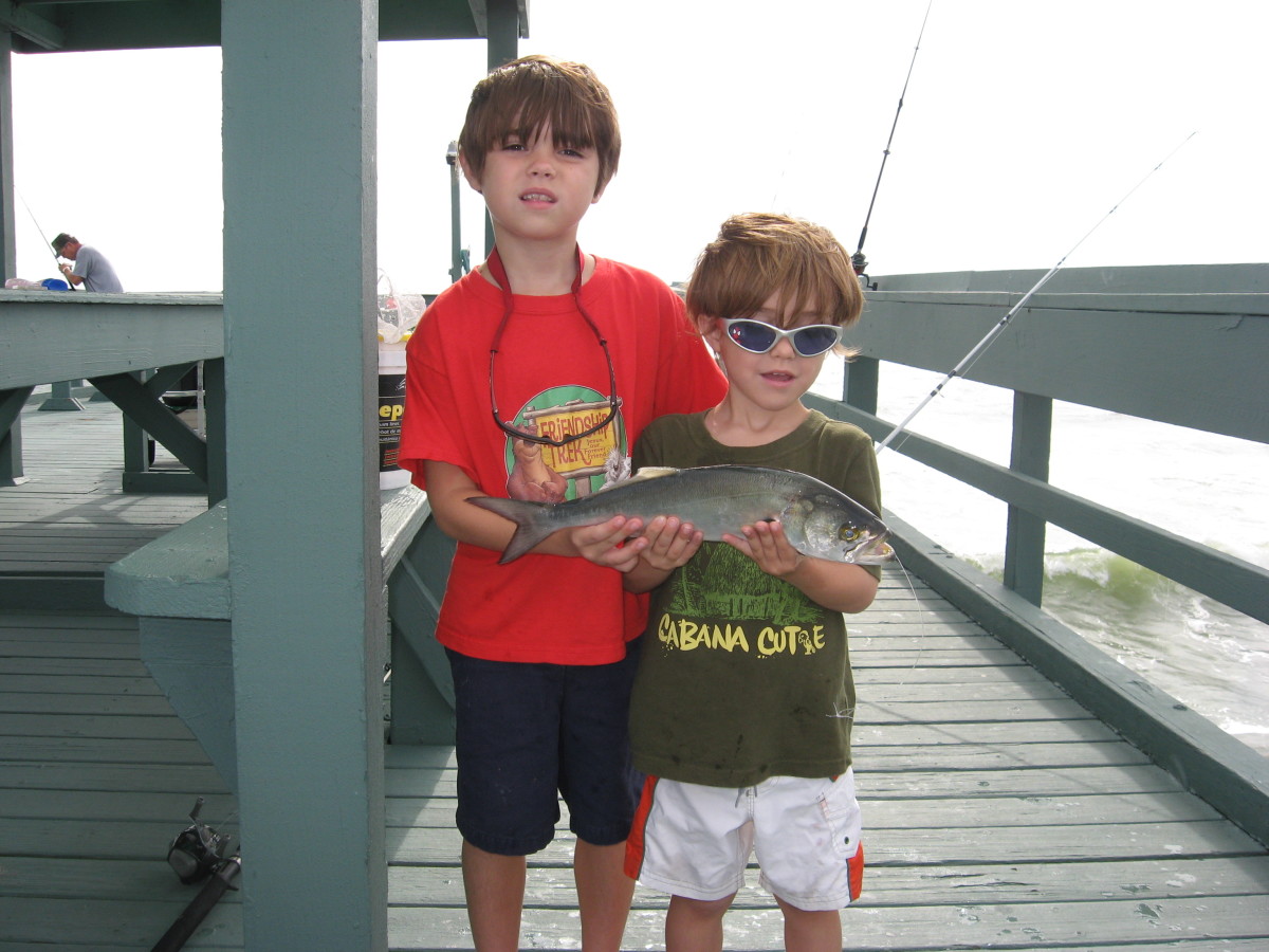 Great summer activities for kids include fishing.