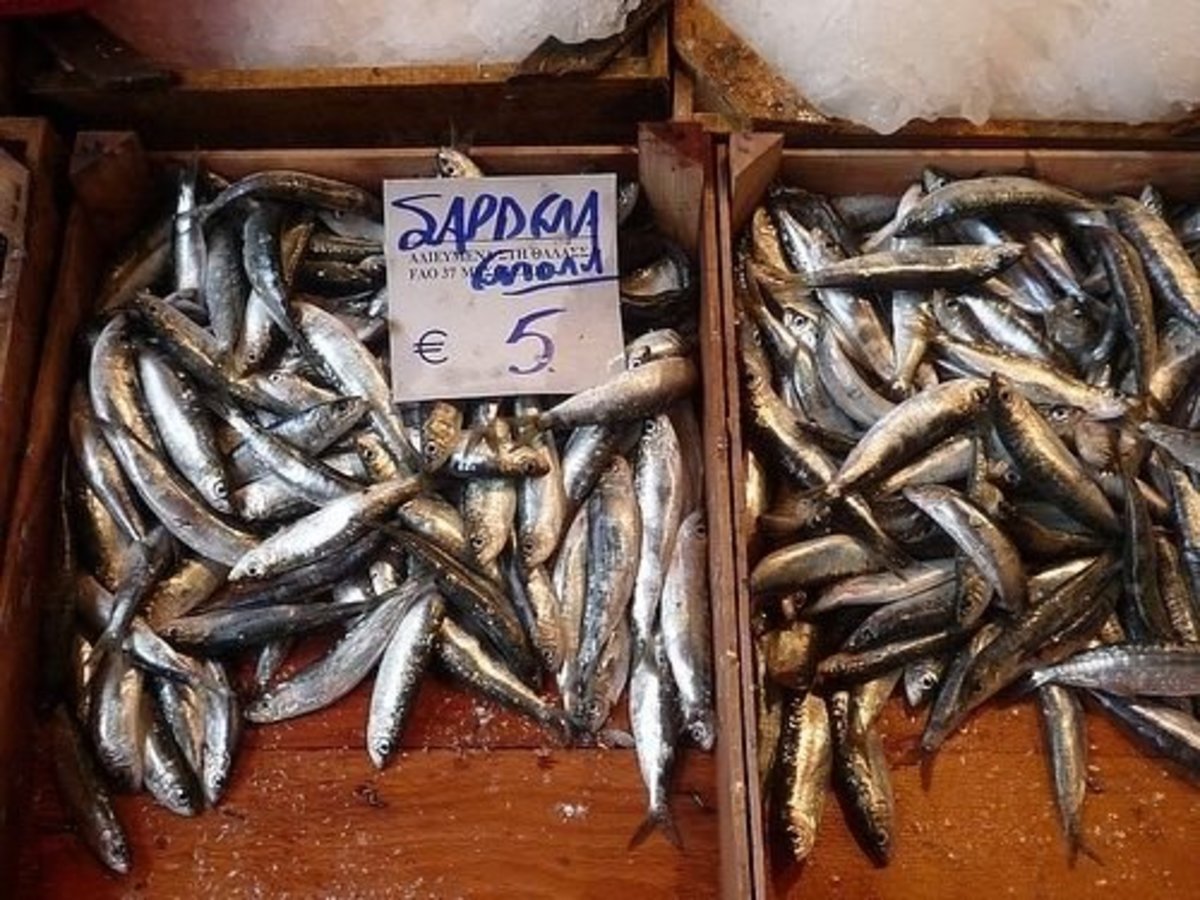 delicious-sardines
