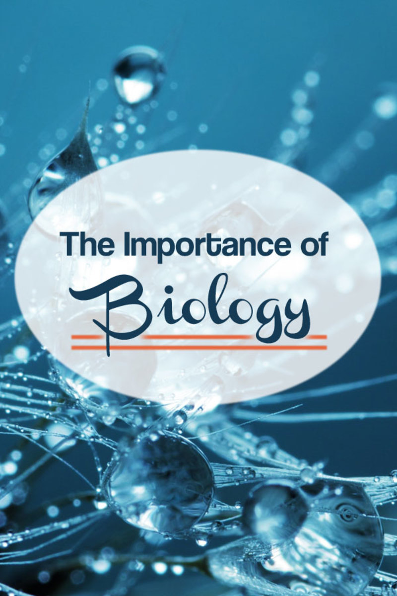 the-importance-of-biology