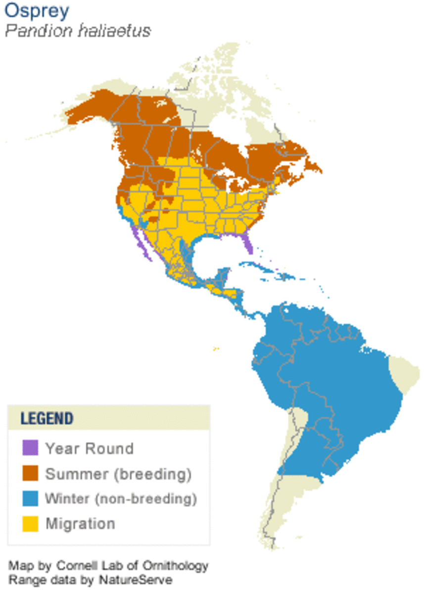 North & South American Range