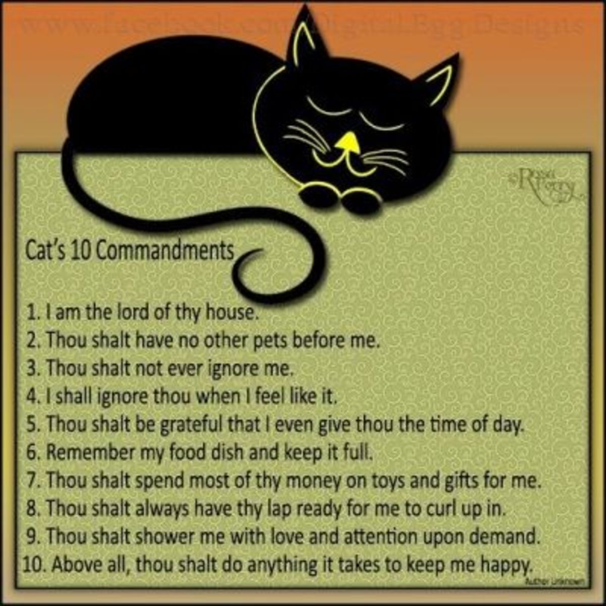 CATmandments