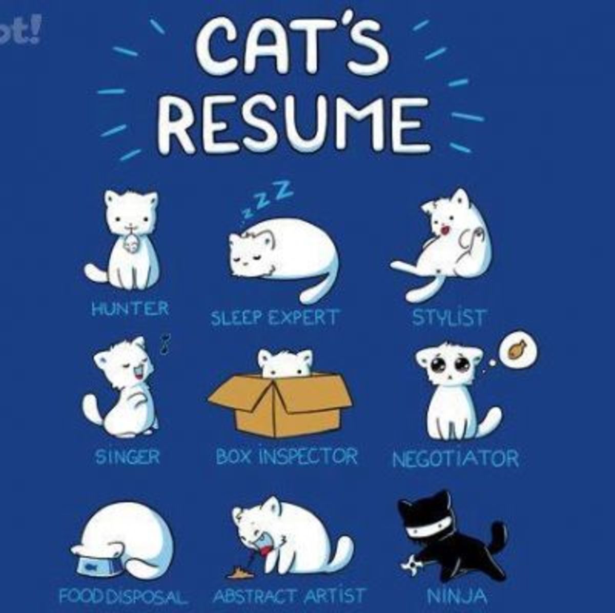 Kitty's Resume