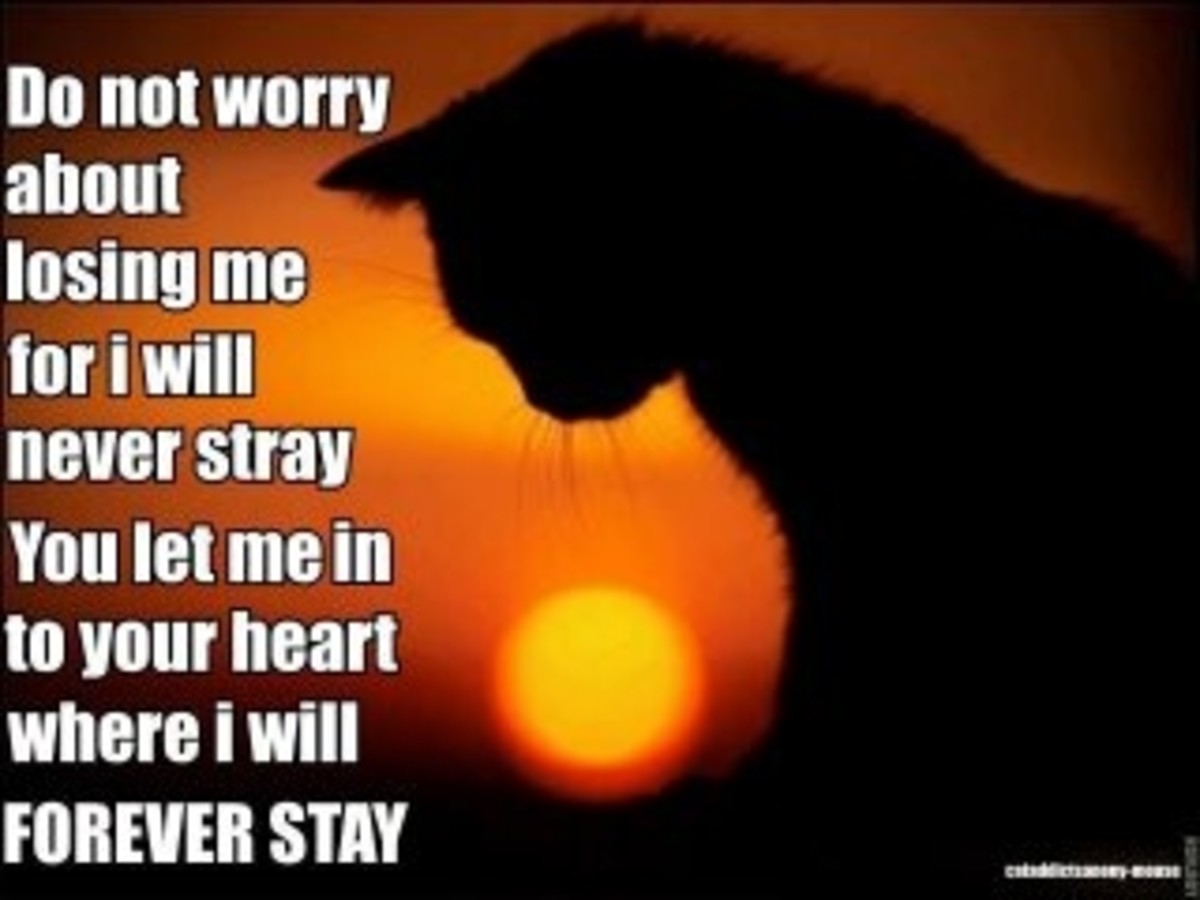 Passing of a fUR friend