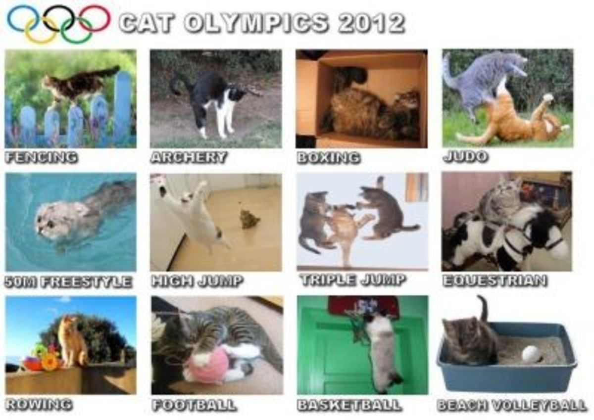 CATolympics