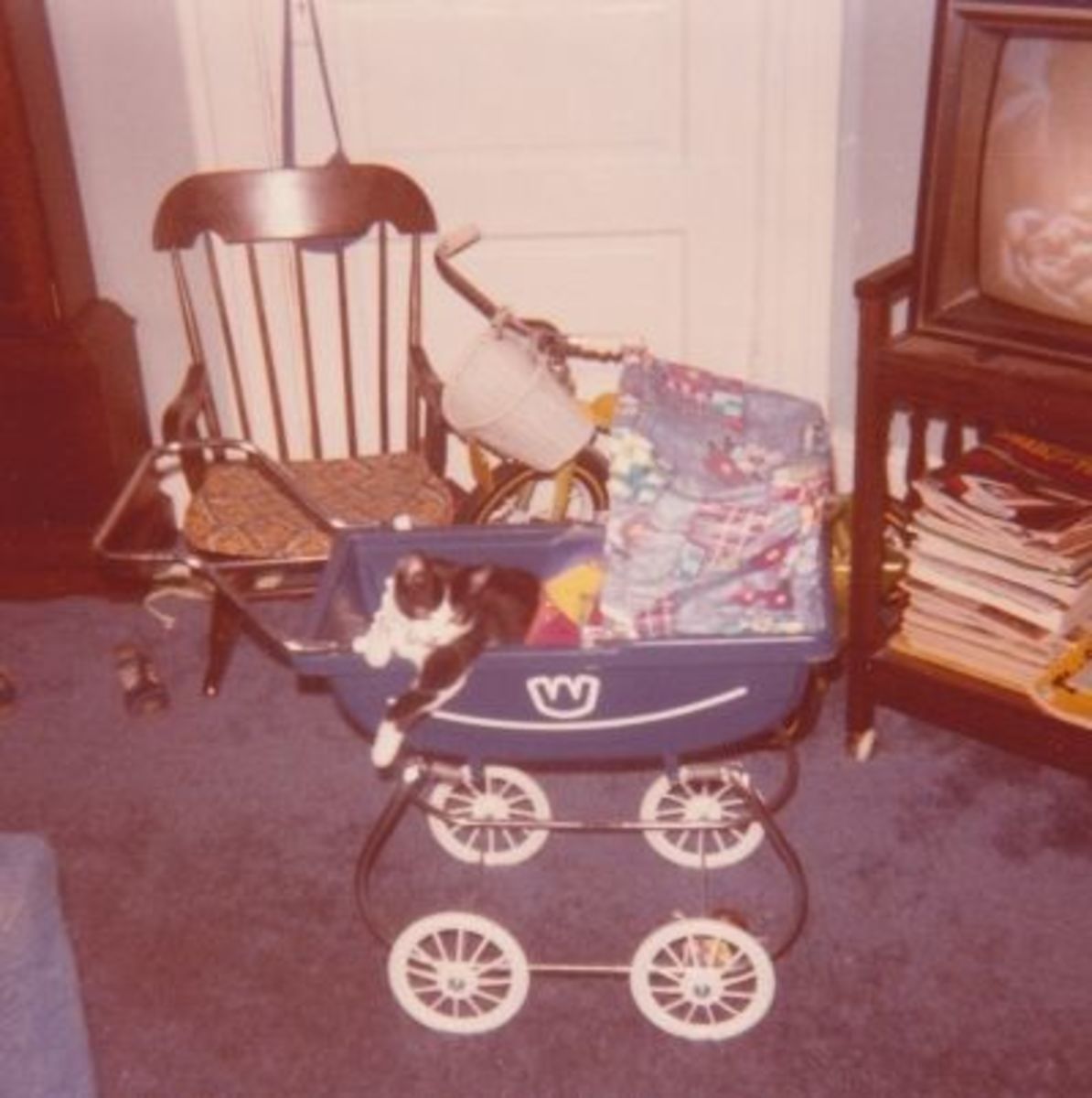 My Cat Tom R.I.P. when I was little