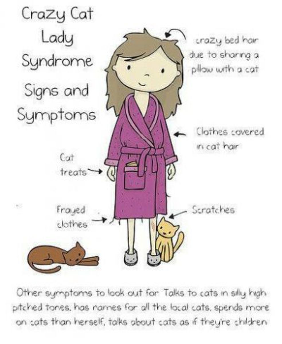 Crazy cat Lady -are you one?