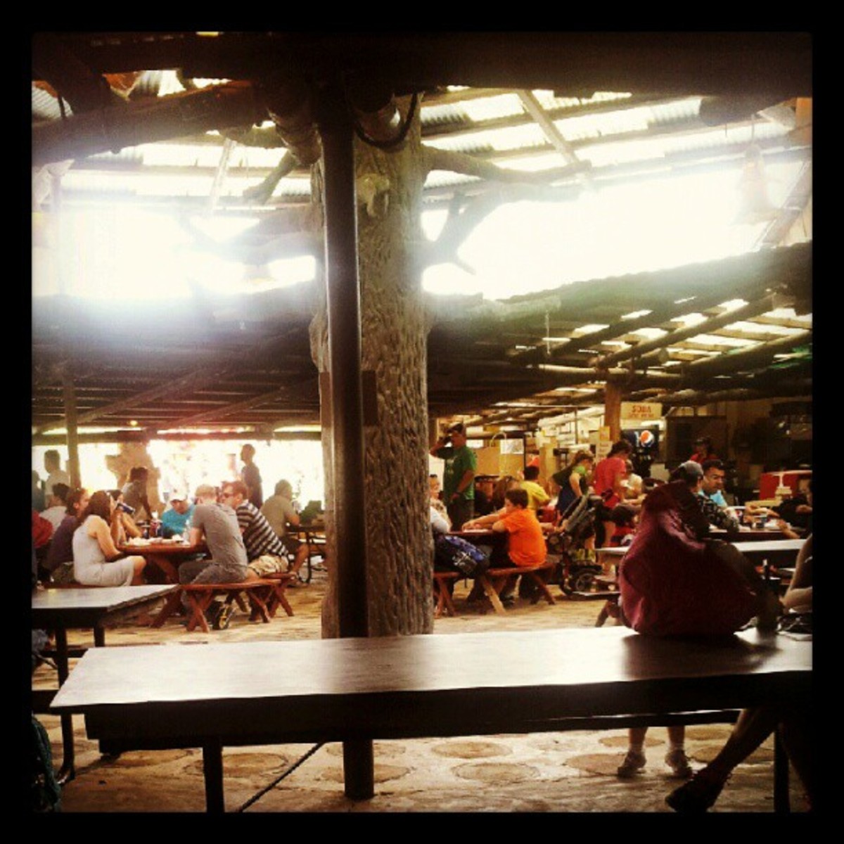 Knoebels Amusement Park for Family Fun in Pennsylvania WanderWisdom