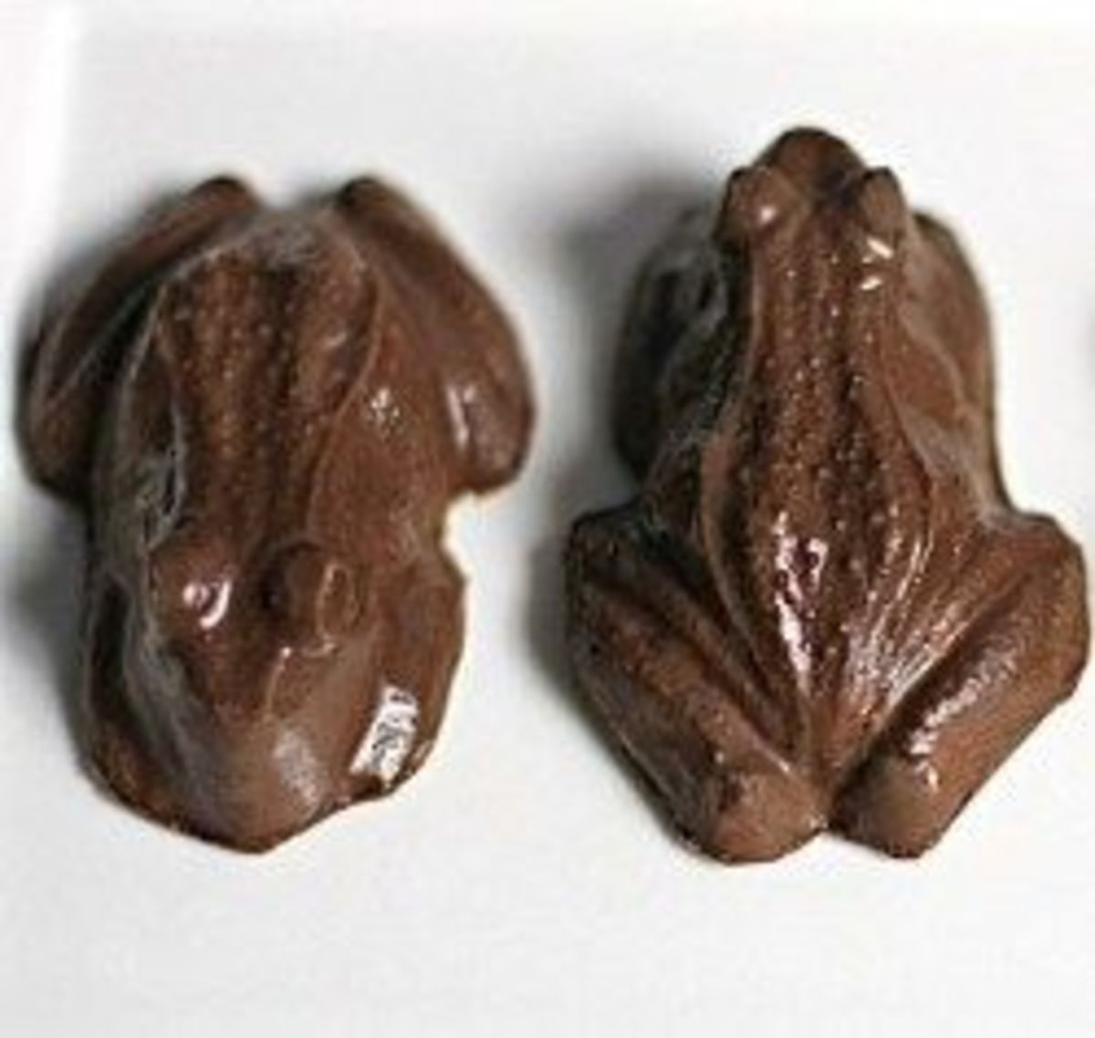 Chocolate Frog Recipe