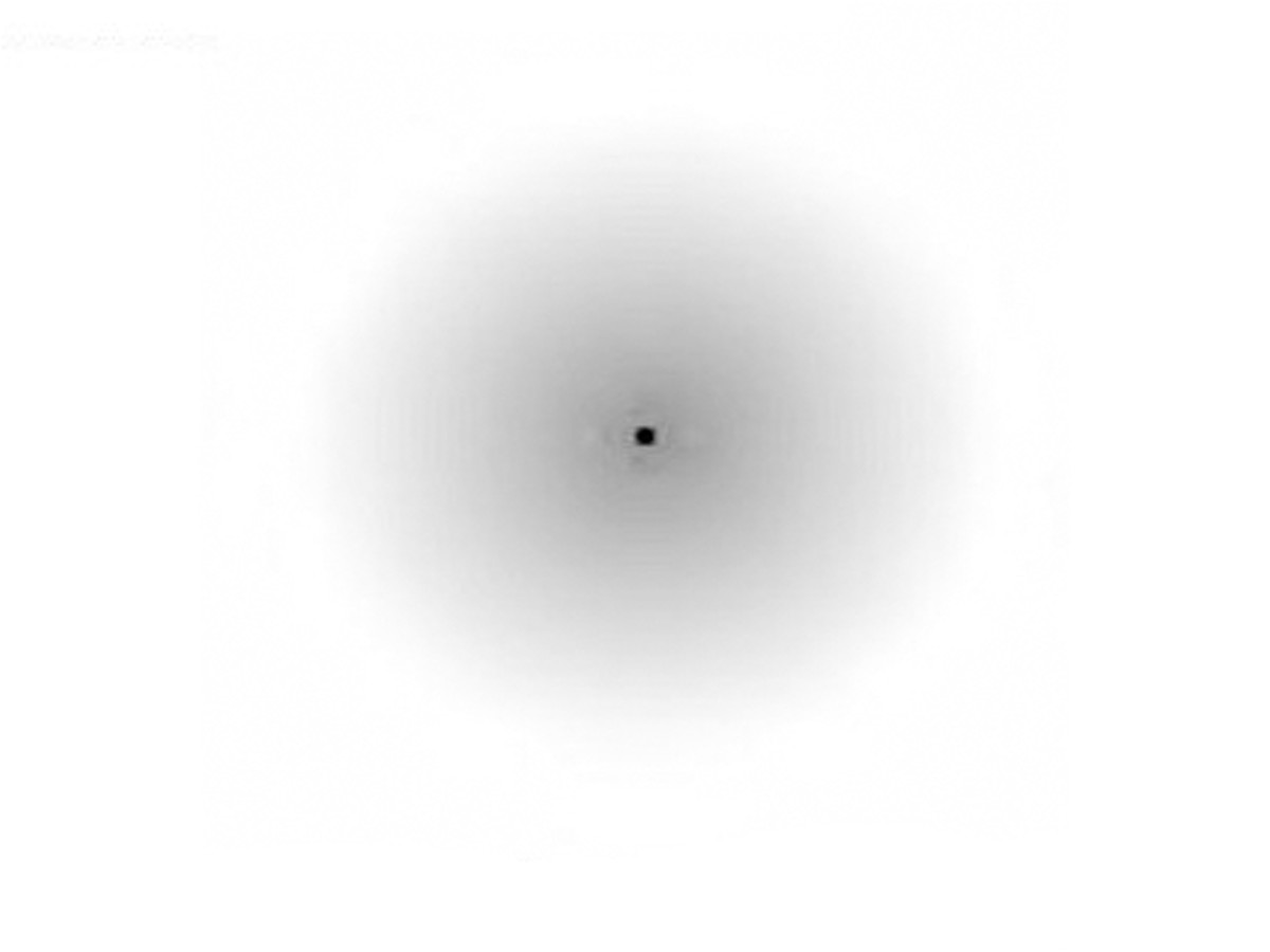Keep staring at the black spot and see what happens.