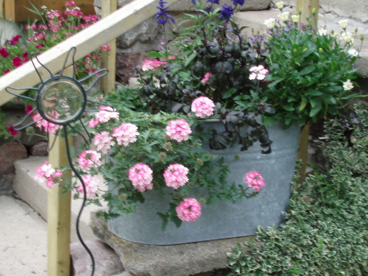 -recycled-container-gardening-ideas