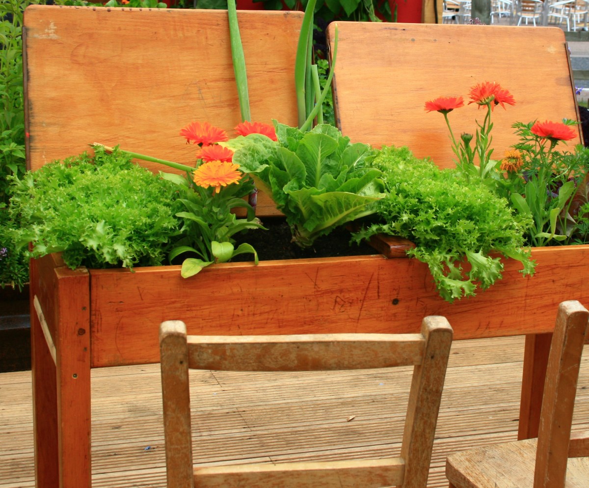 -recycled-container-gardening-ideas