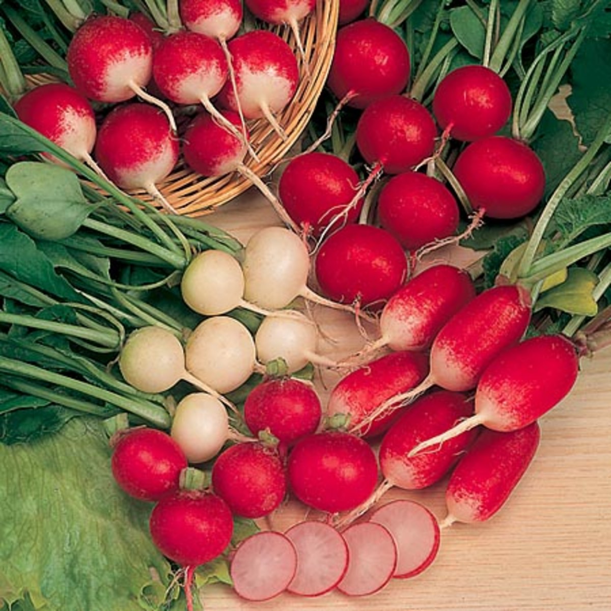 Health, medicinal and nutritional benefits of Radish and Radish leaves