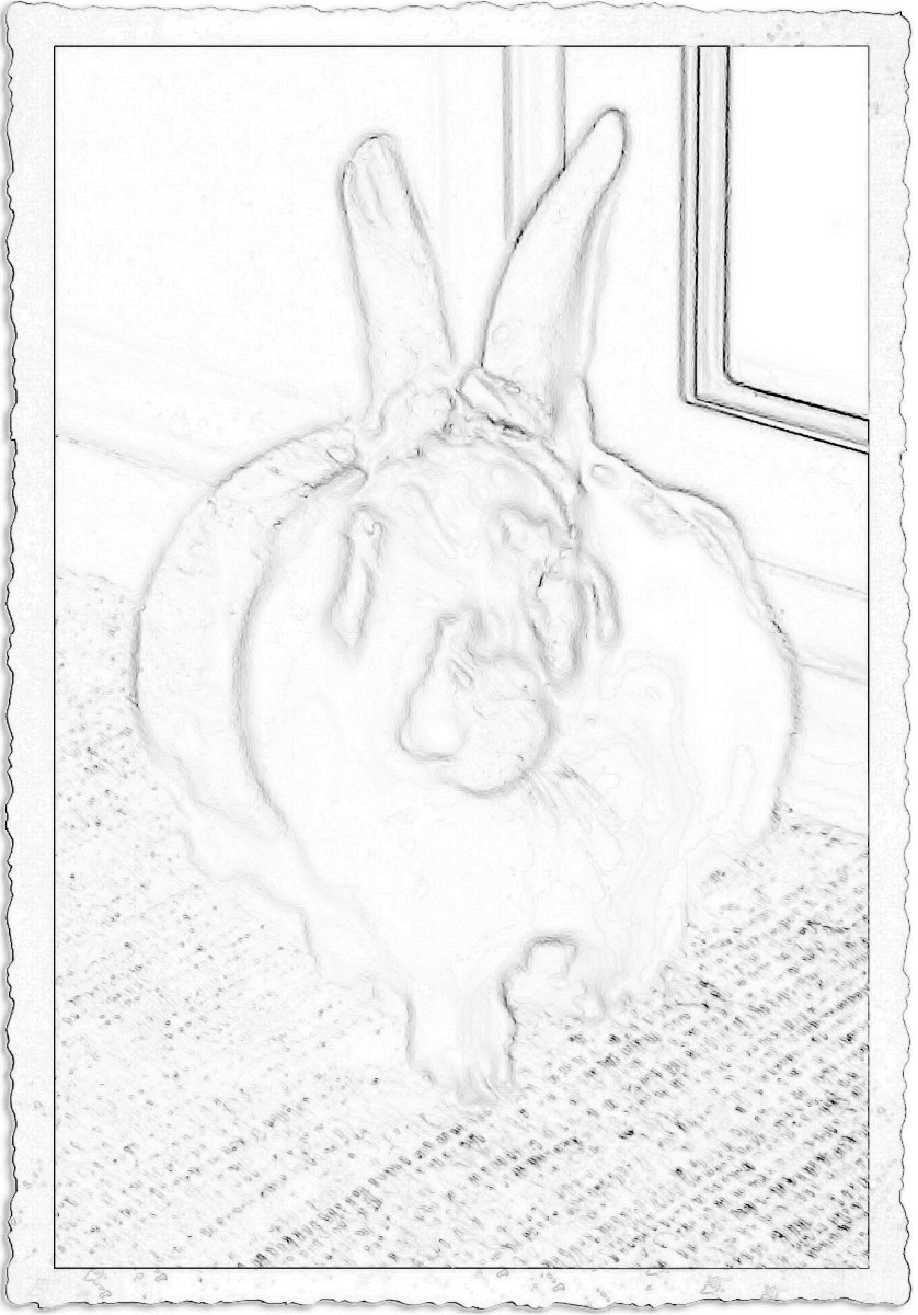 Coloring page created with Paint Shop Pro. Original photo was black and white.