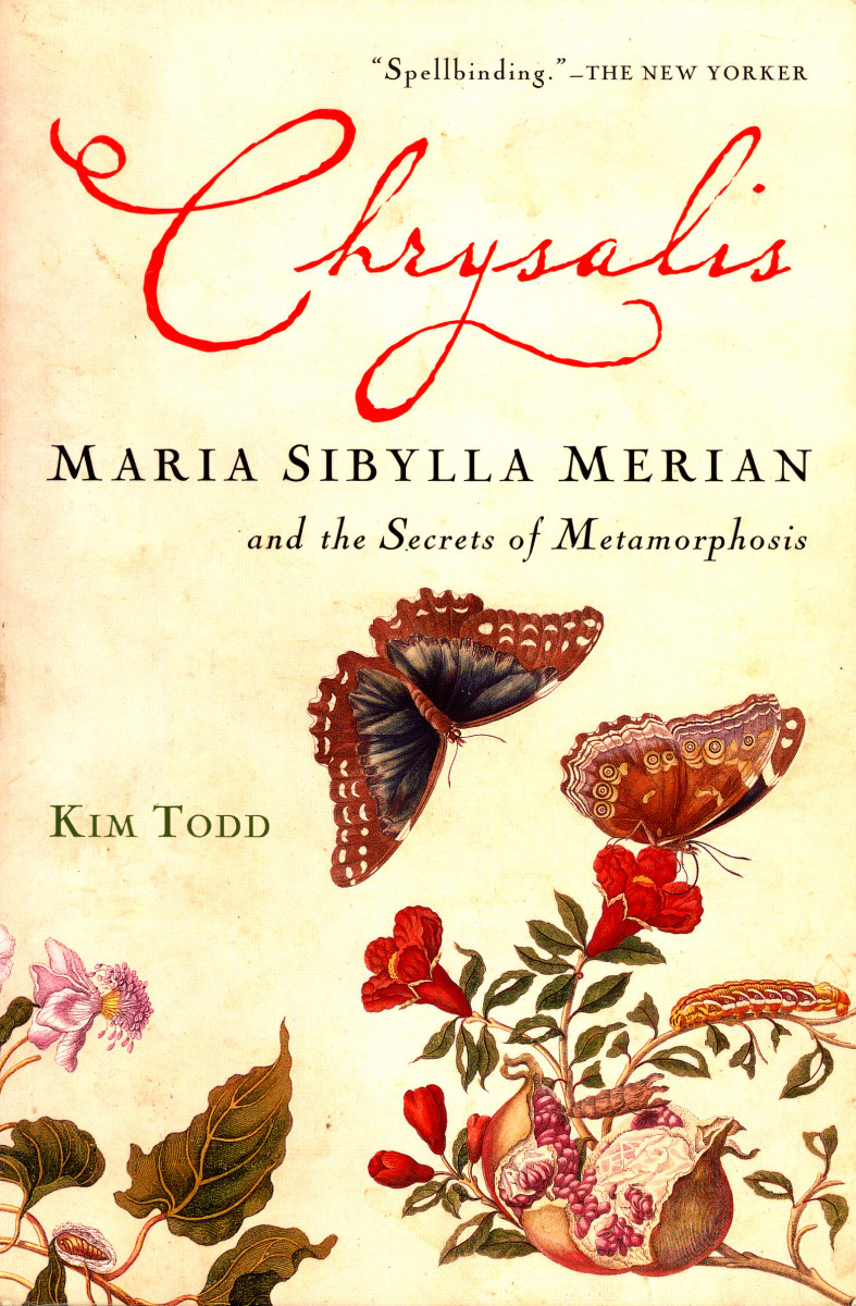 maria-sibylla-merian-the-lady-of-the-blue-butterflies