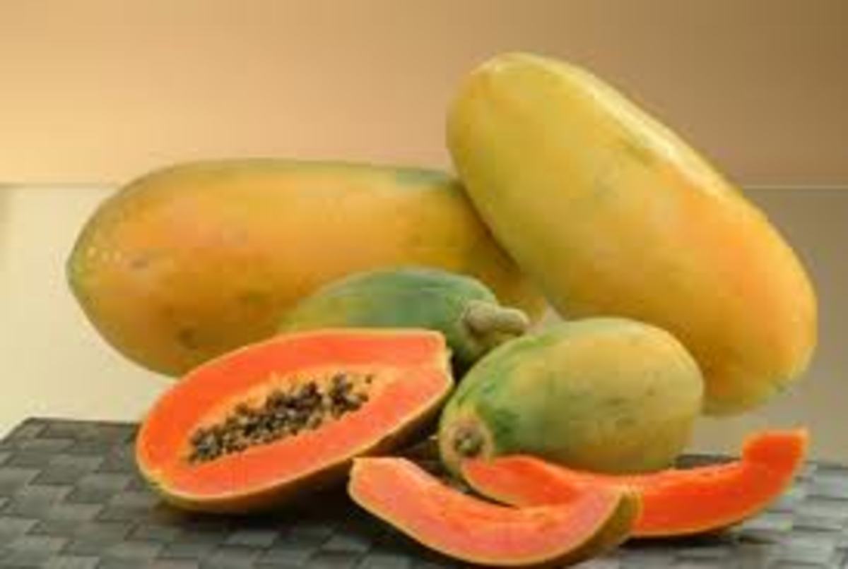 Health Benefits Of Tropical Fruits Tamarind And Papaya Hubpages