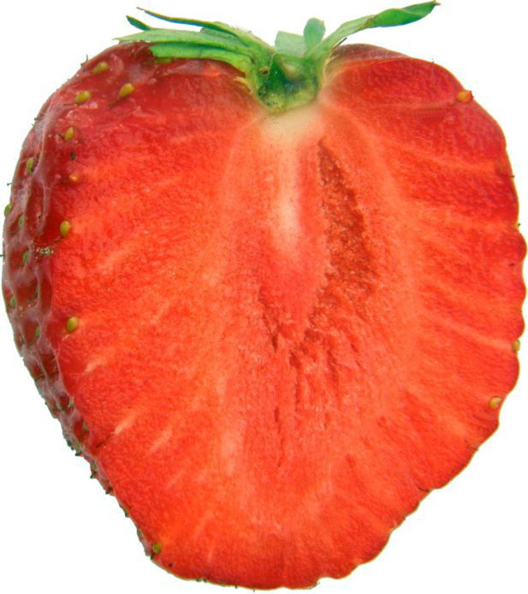  strawberries are an aphrodisiac and commonly associated with love and Saint Valentne's Day.