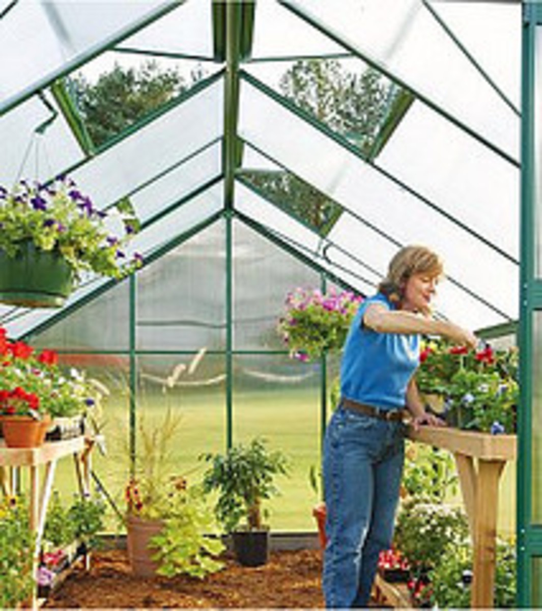 15 Ultimate Tips on Growing Plants in a Greenhouse Year Round