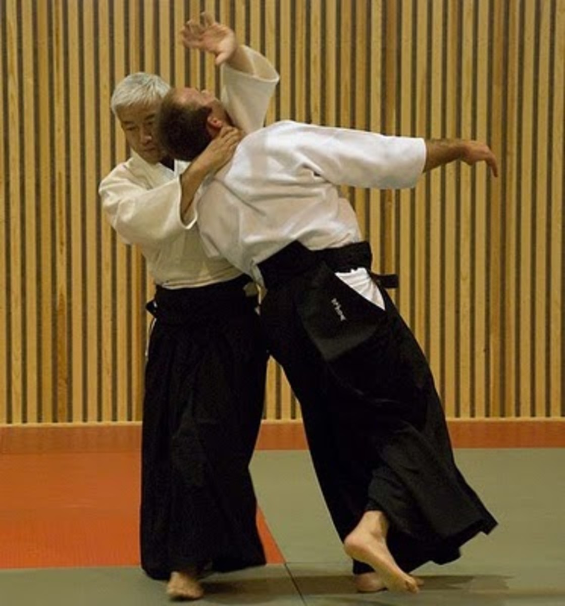 Irimi Nage in Aikido - “Entering Throw”