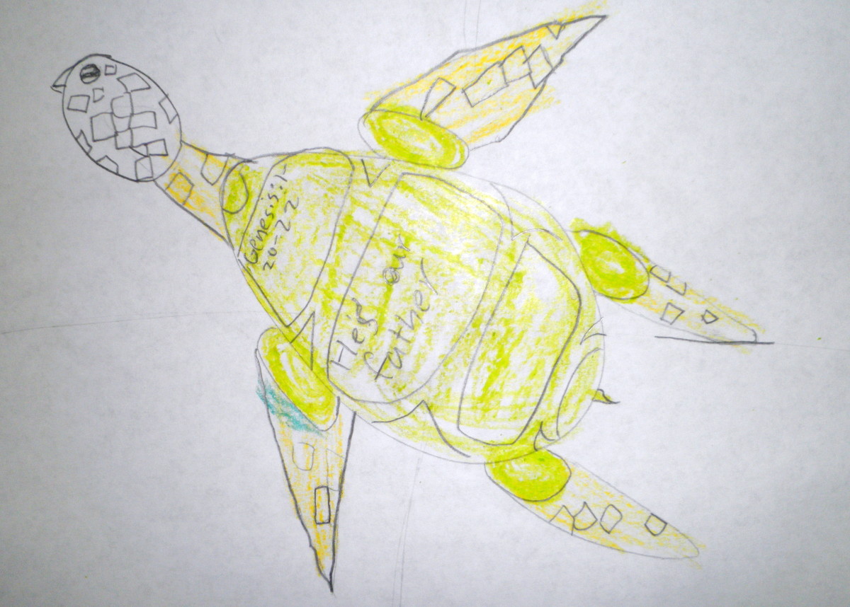 One of the kids finished sea turtles that we drew in Sunday School class