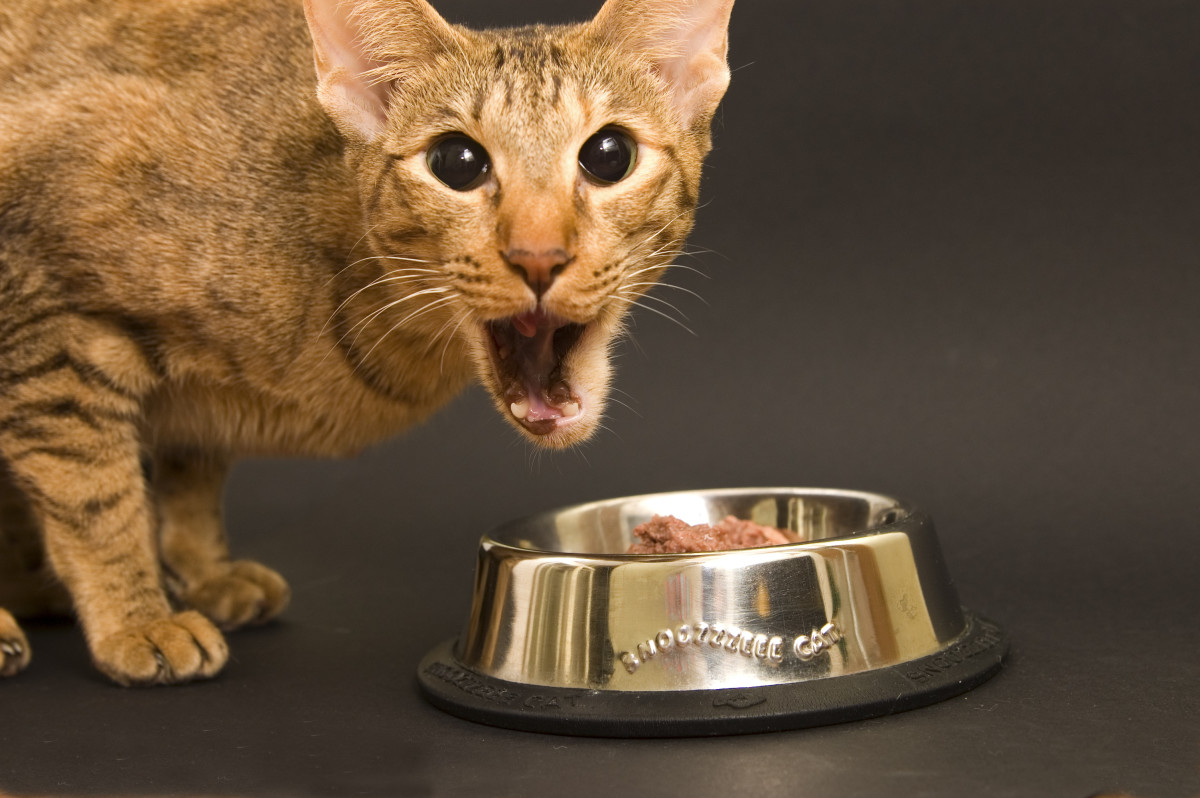 Hey - this isn't gourmet cat food!