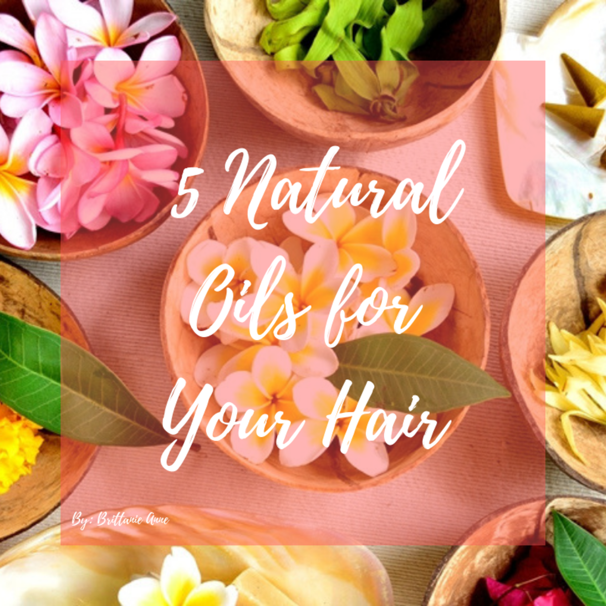 Five Natural Oils That are Great for Your Hair