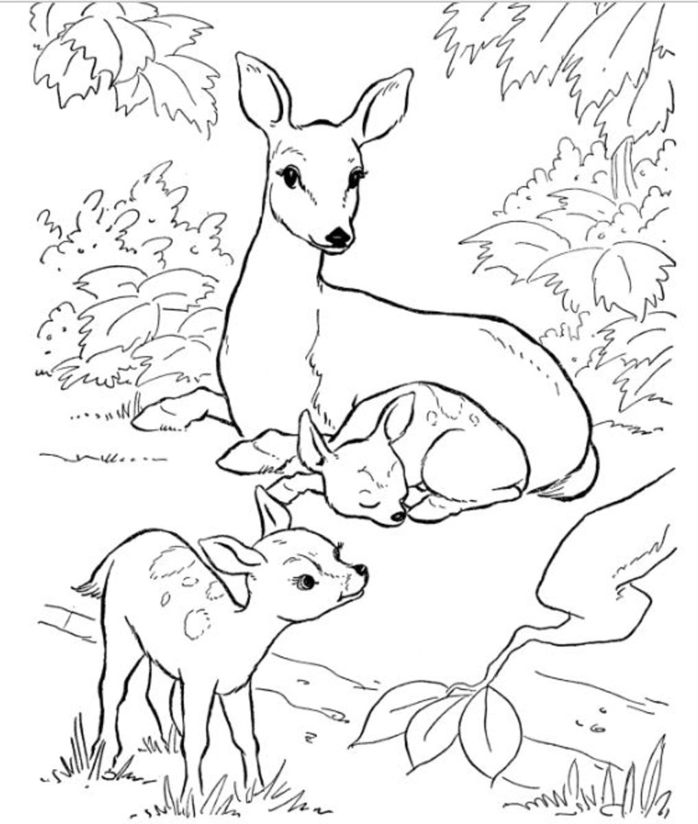 Kids Boy and Girl Playing in The Garden with Animals on Summer Holiday  Coloring Set