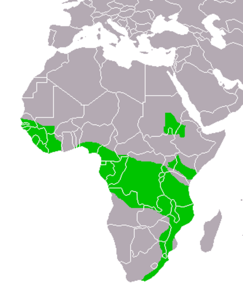 Range of the African Crowned Eagle 