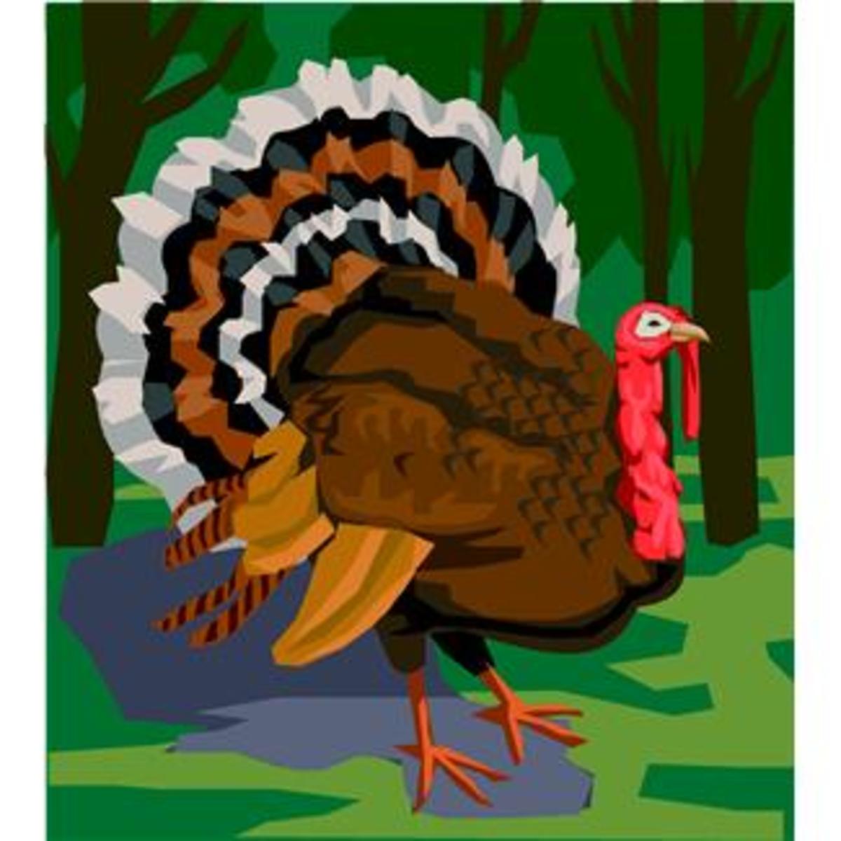 Thanksgiving Turkey Clip Art