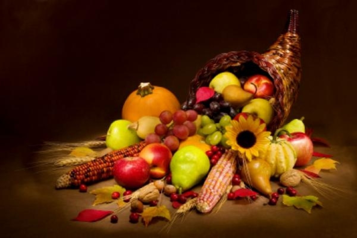 250 Thanksgiving Pictures and Images - HubPages