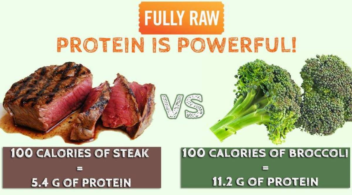 what-are-the-best-vegetable-protein-sources