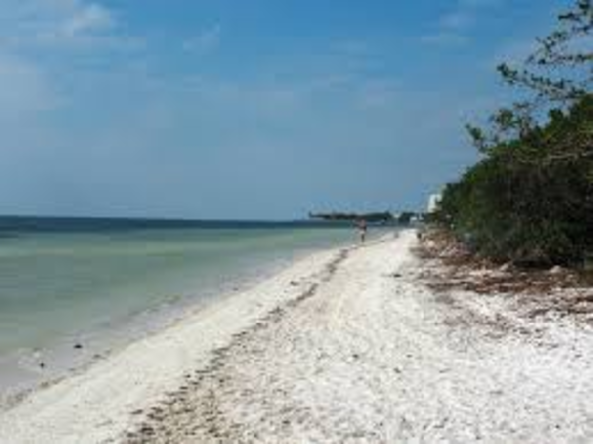5-great-beaches-to-visit-while-in-the-florida-keys-on-the-cheap