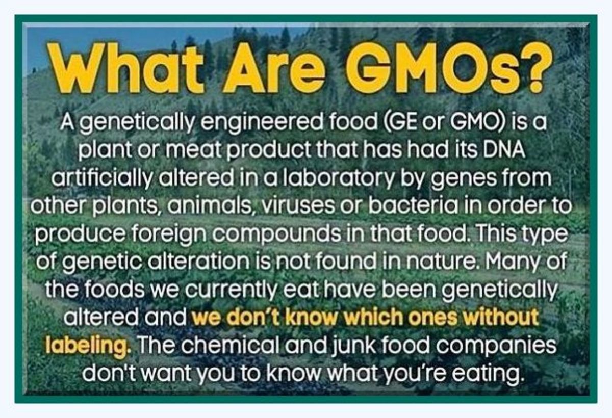 The Truth About GMOs and Why Companies Don't Want The Words 