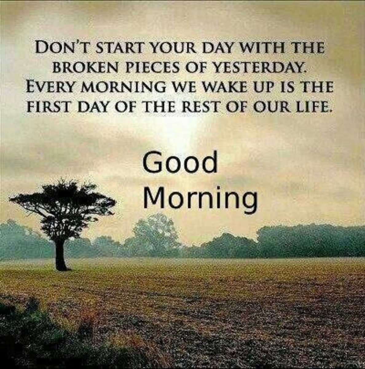 good-morning-quotes-sms-text-and-messages