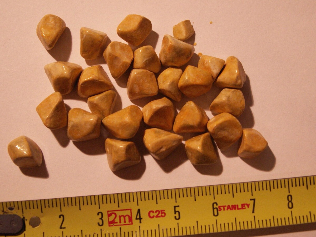Dealing with Bladder Stones in Dogs