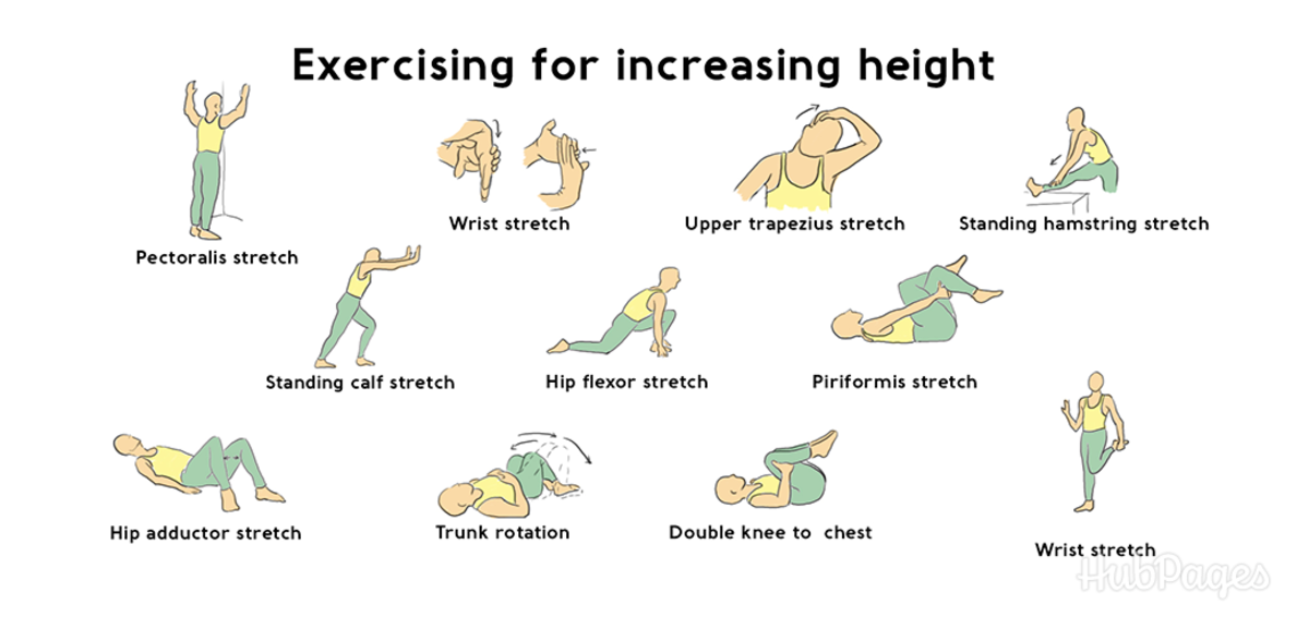 Stretching exercises to grow height