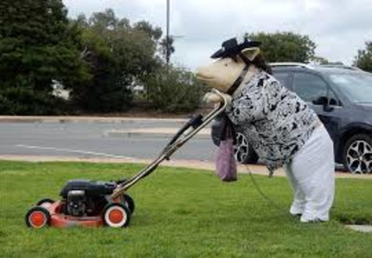 tips-for-running-a-lawn-care-service