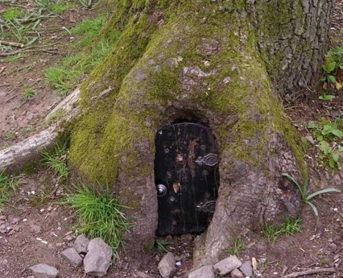Fairy door at Caer Fawr , near Welshpool, Wales. Photo by Gillian Smith, used with permission.